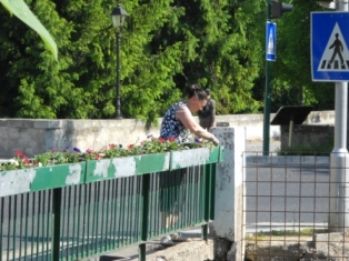 Malomági Lajta híd virágosítás