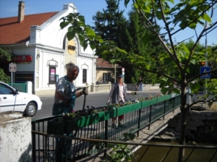 Malomági Lajta híd virágosítás