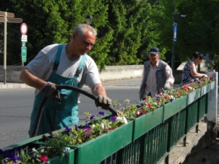 Malomági Lajta híd virágosítás