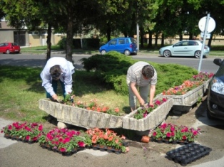 Zöldterületek gondozása